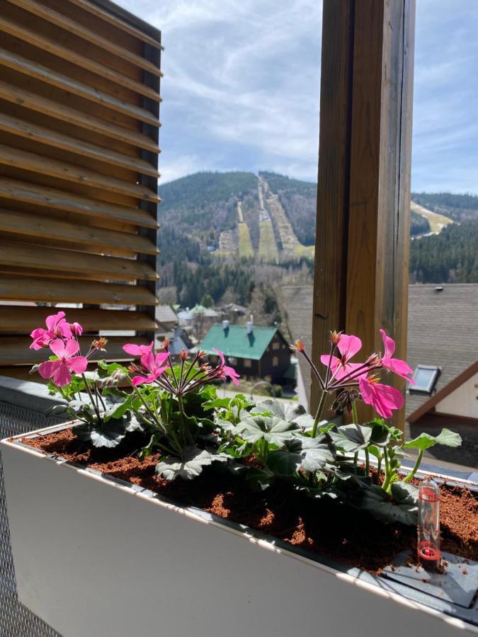 Luxusni Apartman U Sjezdovek S Garazi Harrachov Exterior photo