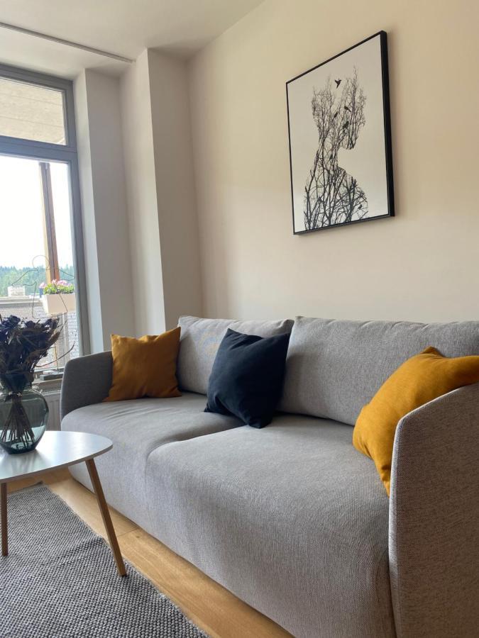 Luxusni Apartman U Sjezdovek S Garazi Harrachov Exterior photo